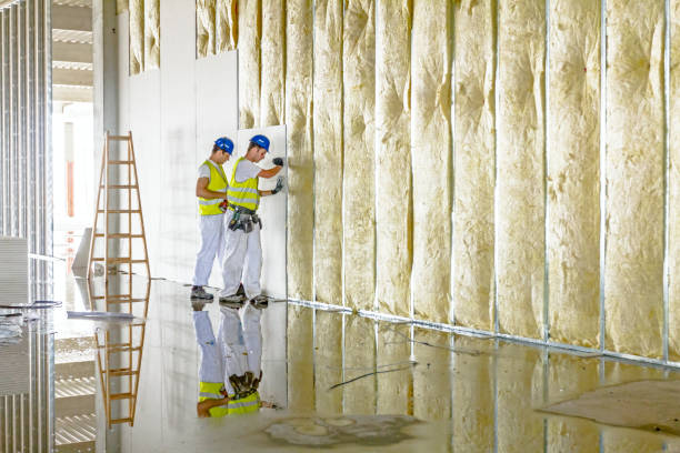 Trusted CO Insulation Contractor Experts